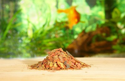 鱼薄片食品