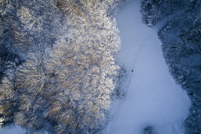 空中的冬季仙境与下奥地利雪林的嗡嗡声