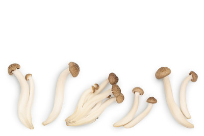 棕色山毛榉蘑菇或Shimeji蘑菇孤立在白色背景与修剪路径。顶部视图与复制空间的文本，平放
