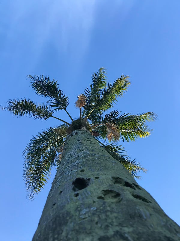 在蒙得维的亚普拉多公园与米格莱特小溪的景观