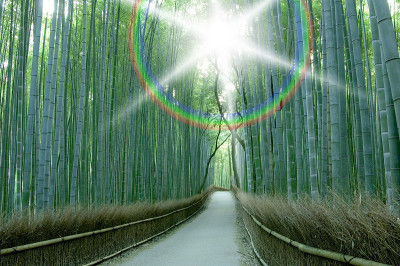 竹林