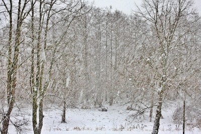 大雪