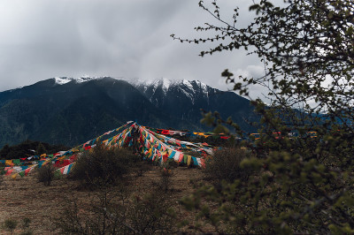 山景城