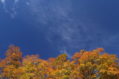 清晰的秋天的天空