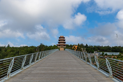 蓝天白云下，一条又长又宽的木路通向远方