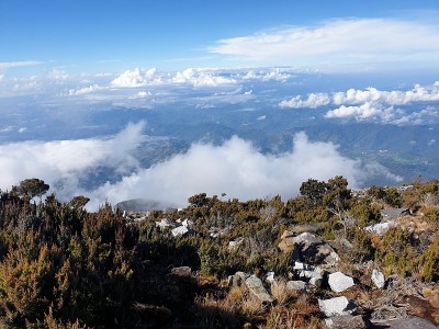 哥打基纳巴卢山徒步旅行路线