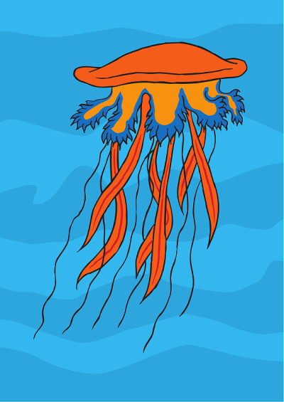 水母