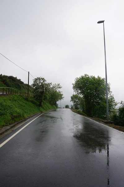 路在森林里，绿树在山上