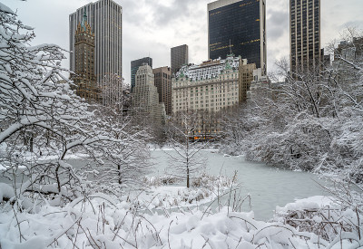 中央公园在冬天的暴风雪后