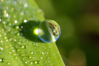滴水