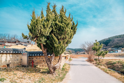 韩国庆州阳东村