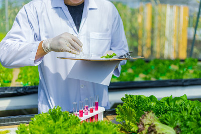 科学家测试溶液，化学检查，在有机水培农场检查新鲜程度。