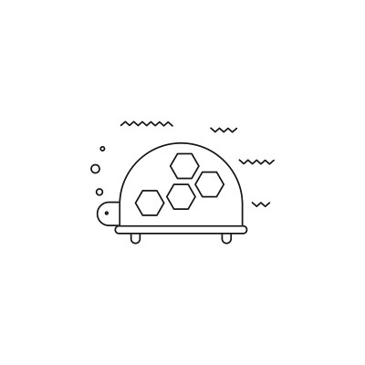 Turtle line icon