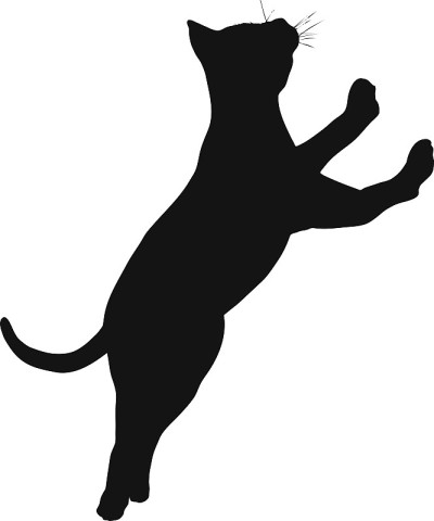猫的轮廓