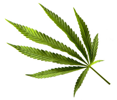 白色背景上的麻床单