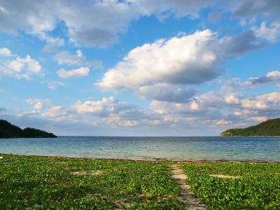 冲绳县Iriomote岛的风景
