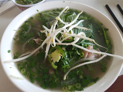 越南牛肉汤，香菜和洋葱