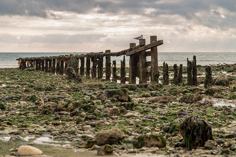 英国东苏塞克斯的Cuckmere Haven