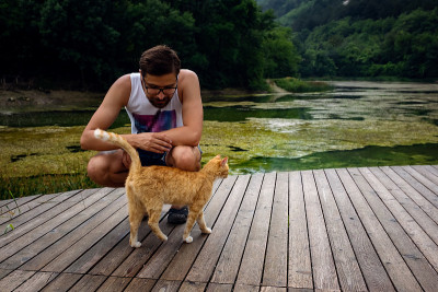 一个男人正在和一只家养的红虎斑猫玩。