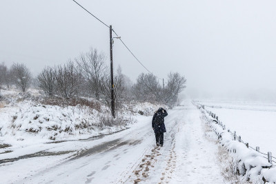 雪覆盖了道路