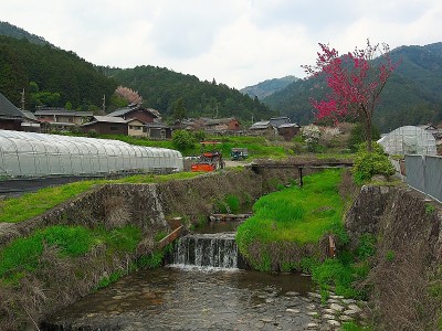 日本的风景乡村的春天