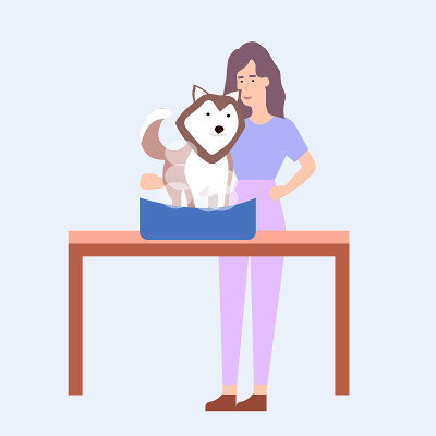 女孩洗狗在白色的背景，矢量图形