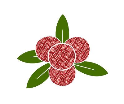 Bayberry logo. Isolated bayberry on white backgrou