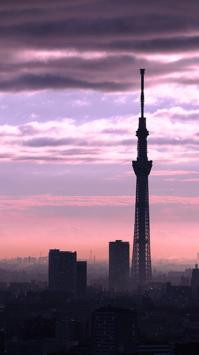 东京天空树剪影