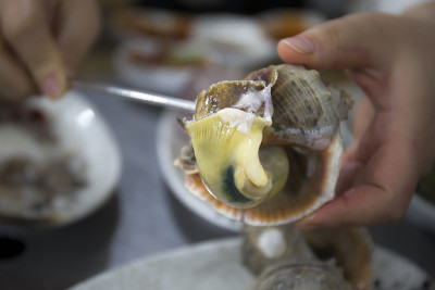 海蜗牛