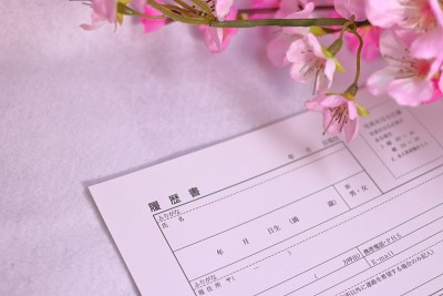 樱花盛开又重新绽放