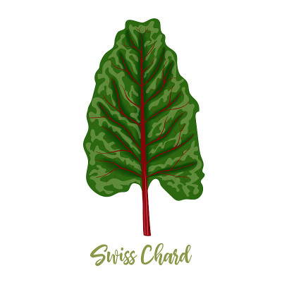 Mangold or Swiss chard Rainbow leaves isolated. si