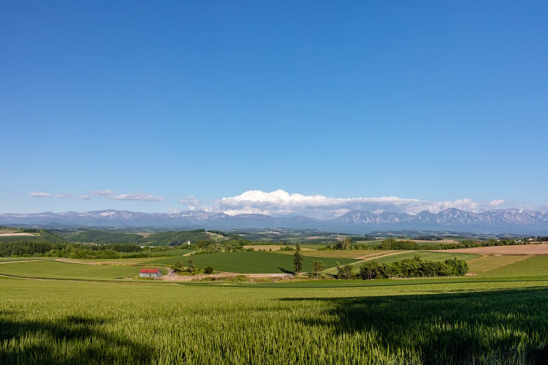 北海道美丽的风景