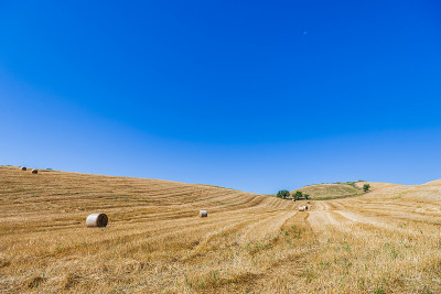 巴西利卡塔Val D'Agri的夏季乡村景观