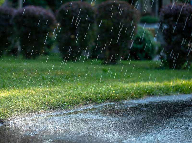 夏日公园里的雨。雨点落在铺好的小路上。