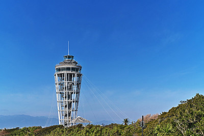 Enoshima海蜡烛