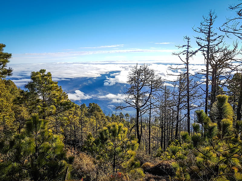 危地马拉阿卡特南戈火山