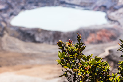 Poas火山国家公园，哥斯达黎加