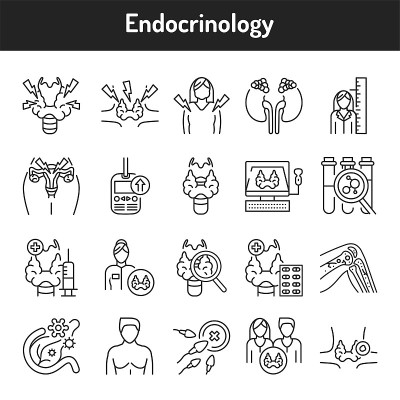 Endocrinology color line icons set. Pictograms for