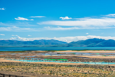 三江源自然保护区，海拔最高的天然湿地，西藏，中国