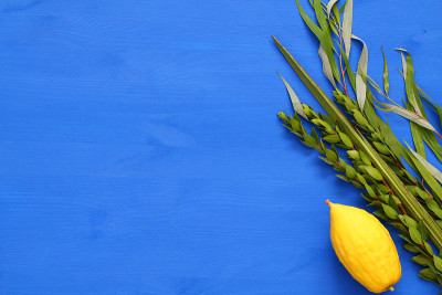 犹太人住棚节。传统符号(四种):Etrog, lulav, hadas, arava