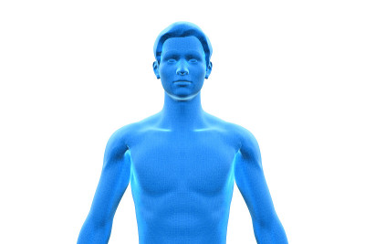 男人，人类男性的身体，3D，上半身
