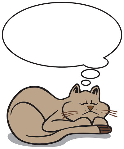 卡通猫睡觉