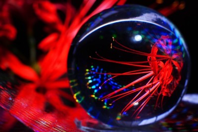 幻想图片马马鲁萨卡 2