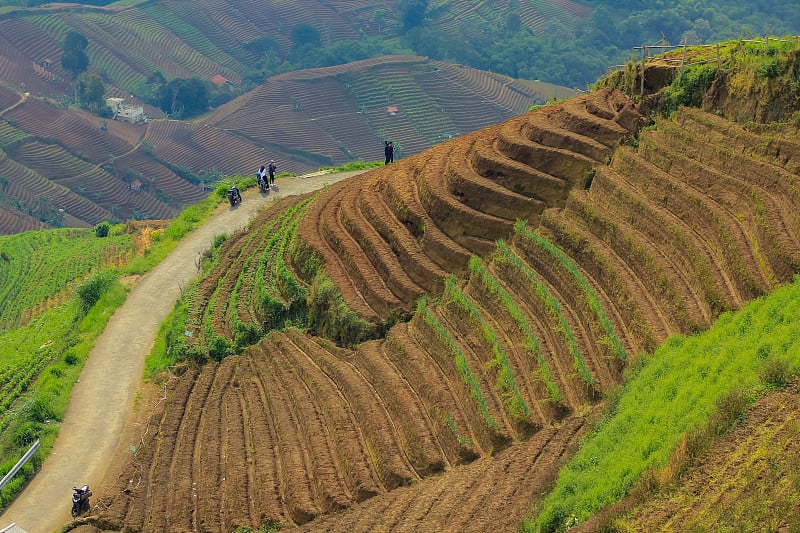 山谷中的路