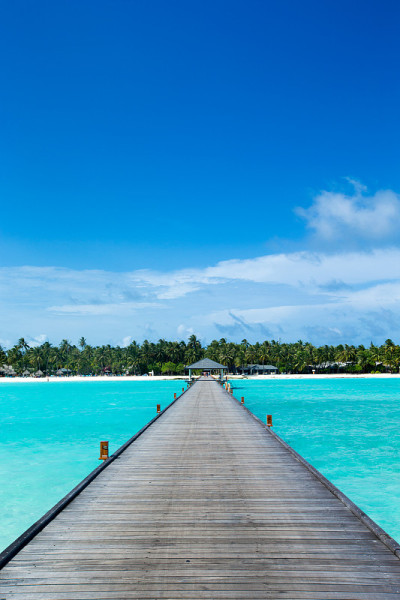 海滩和热带海。自然背景
