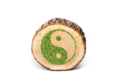 树干横截面有阴阳标志