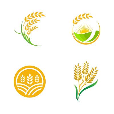 农业小麦水稻矢量图标设计