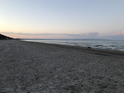 海岛海岛