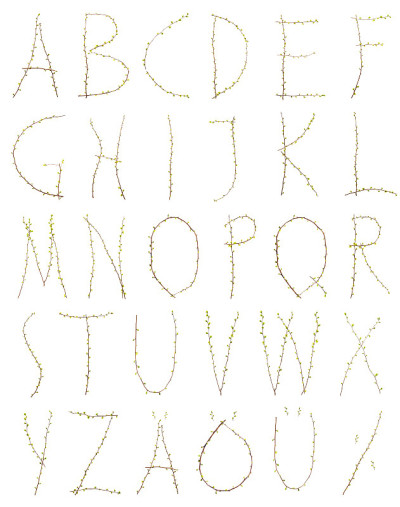 字母a - z