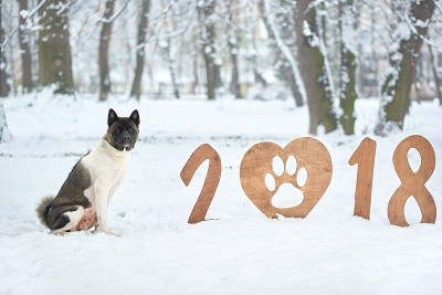 祝你2018年新年快乐